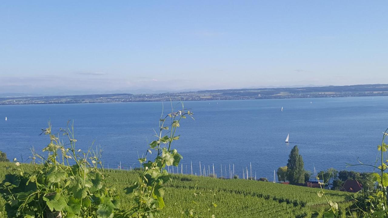 Daisendorf Studio Bodensee מראה חיצוני תמונה